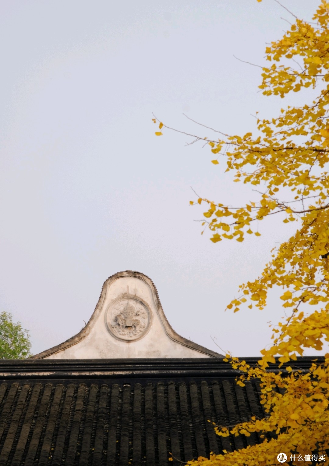 秋意渐去，冬意正来，苏州西园寺随想